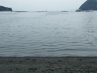 02054s.jpg 800x600 144KB 