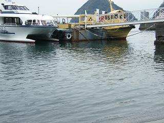 08164s.jpg 800x600 186KB 