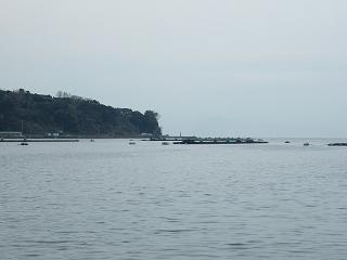 08170s.jpg 800x600 77KB 