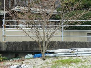 09052s.jpg 800x600 278KB 