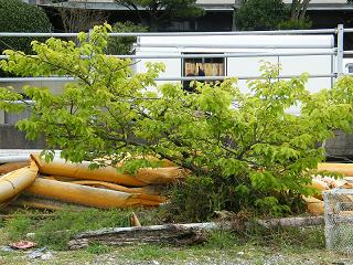 09053s.jpg 800x600 277KB 