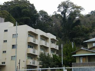 10014s.jpg 800x600 184KB 