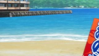 10033.jpg 512x288 33KB 