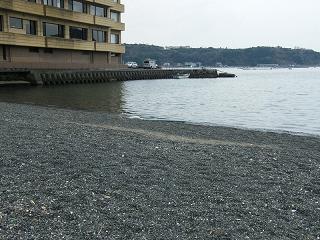 10033s.jpg 800x600 227KB 