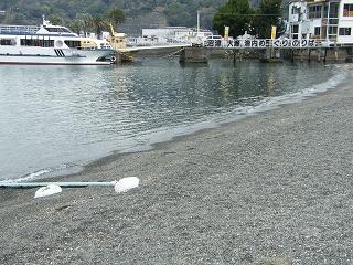 10049s.jpg 800x600 277KB 