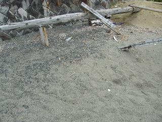 10051s.jpg 800x600 282KB 