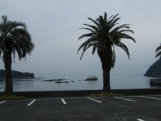 11052s.jpg 800x600 111KB 