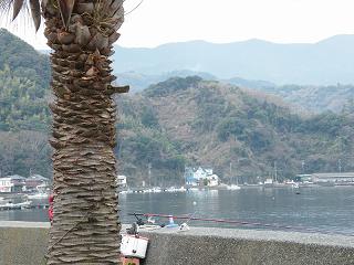 11053s.jpg 800x600 191KB 