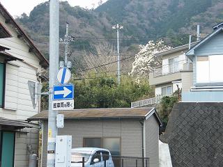 11055s.jpg 800x600 199KB 