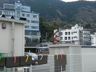 11058s.jpg 800x600 165KB 