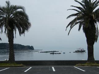 11061s.jpg 800x600 144KB 