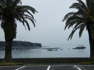 11064s.jpg 800x600 142KB 