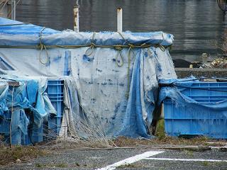 11084s.jpg 800x600 212KB 