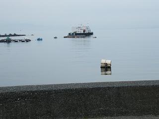 11087s.jpg 800x600 107KB 