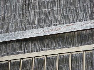 03074s.jpg 800x600 230KB 