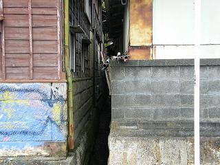 09113s.jpg 800x600 216KB 