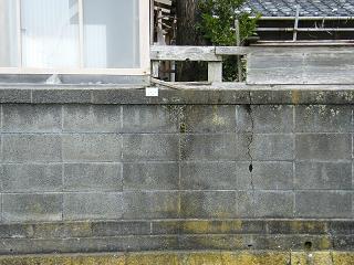 09114s.jpg 800x600 219KB 