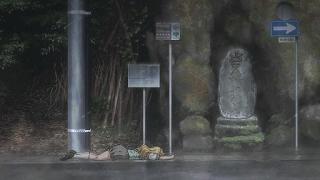 09119.jpg 512x288 36KB 