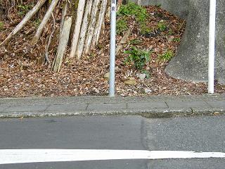 09120s.jpg 800x600 275KB 