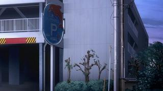 09071.jpg 512x288 39KB 