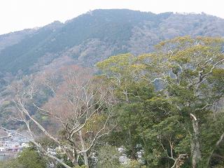 06017s.jpg 800x600 226KB 