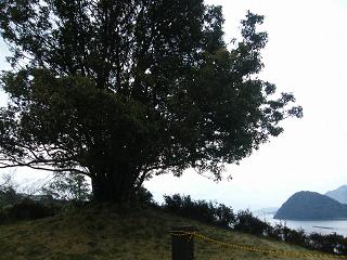 06026s.jpg 800x600 195KB 