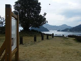 06027s.jpg 800x600 158KB 