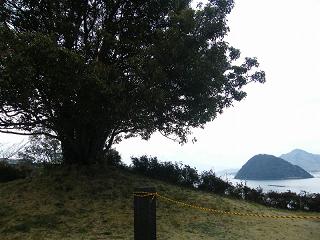 06028s.jpg 800x600 194KB 