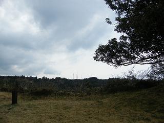 06029s.jpg 800x600 154KB 