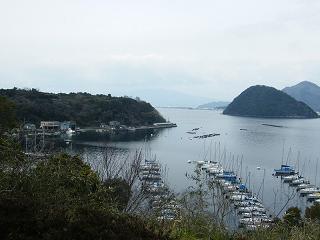 06032s.jpg 800x600 140KB 