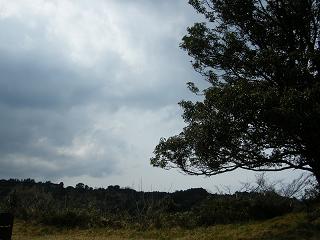 06057s.jpg 800x600 158KB 