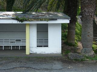 00010s.jpg 800x600 206KB 