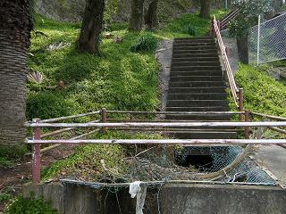 01185s.jpg 800x600 293KB 