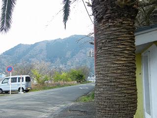 01189s.jpg 800x600 189KB 