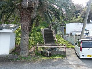 02009s.jpg 800x600 255KB 