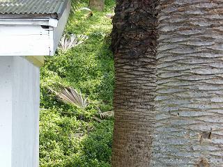 02010s.jpg 800x600 264KB 