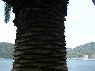 02015s.jpg 800x600 122KB 