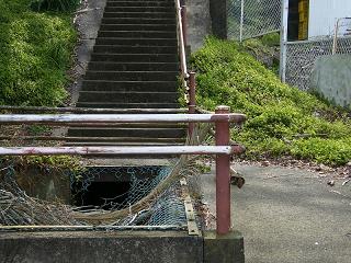 03094s.jpg 800x600 278KB 