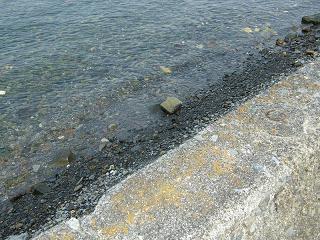 04006s.jpg 800x600 270KB 