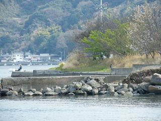 05041s.jpg 800x600 211KB 