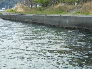 05042s.jpg 800x600 221KB 