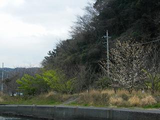 05044s.jpg 800x600 187KB 