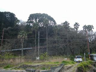 05045s.jpg 800x600 185KB 