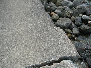 05052s.jpg 800x600 285KB 