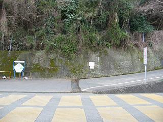 10089s.jpg 800x600 245KB 