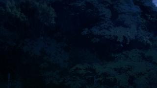 10090.jpg 512x288 22KB 