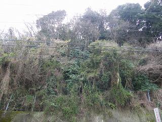 10090s.jpg 800x600 270KB 