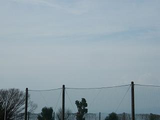 11035s.jpg 800x600 72KB 