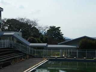 11039s.jpg 800x600 131KB 