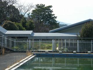 11040s.jpg 800x600 207KB 